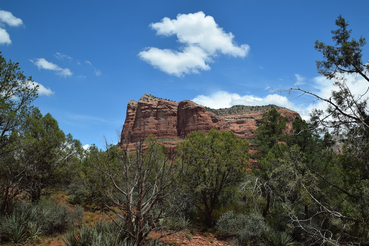 a rocky mountain with trees and bushes