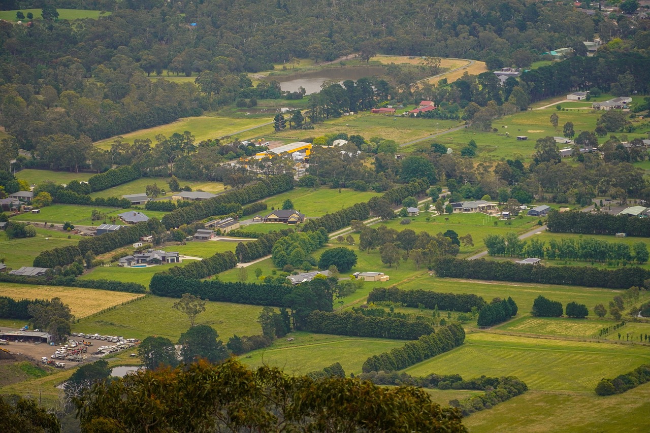 nature, landscape, greenery, n, lookout