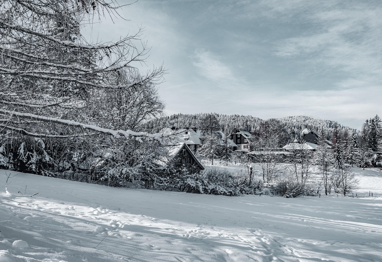 houses, village, snow, winter, forest, mountain, trees, snowdrift, frost, cold, nature, landscape