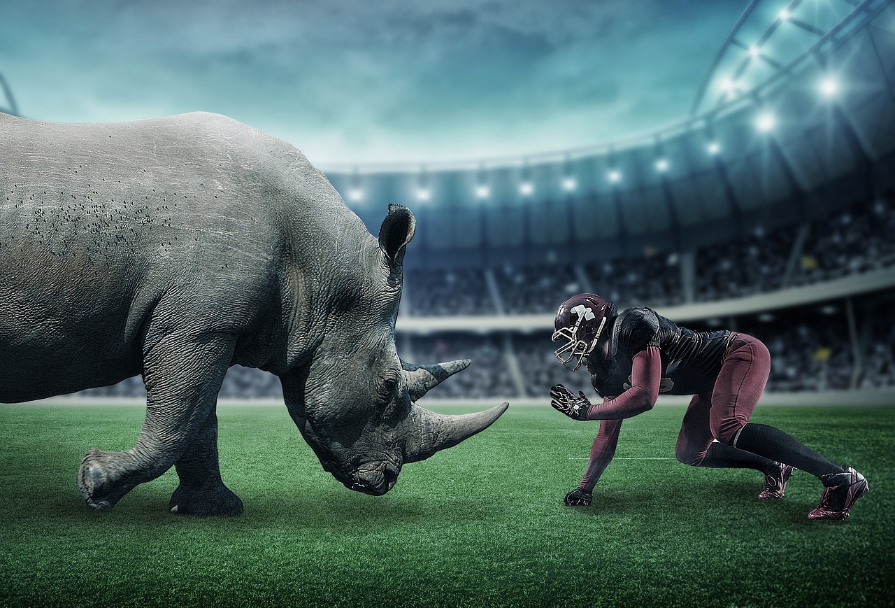 american football, rhinoceros, sports, wild animals, stadium, american football, american football, american football, american football, american football, stadium