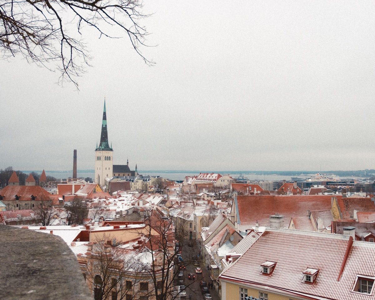 A view of a snowy city from a hill