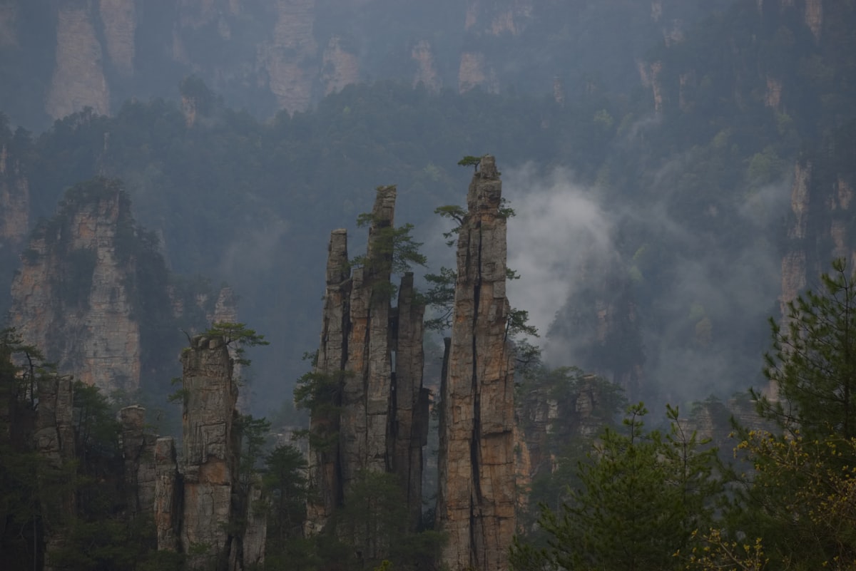 a forest filled with lots of tall rocks and trees