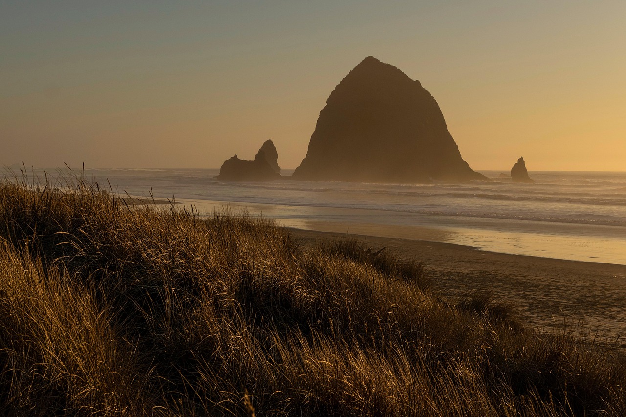 beach, sunset, oregon, nature, coast, cannon beach, pacific ocean, sea, ocean, landscape