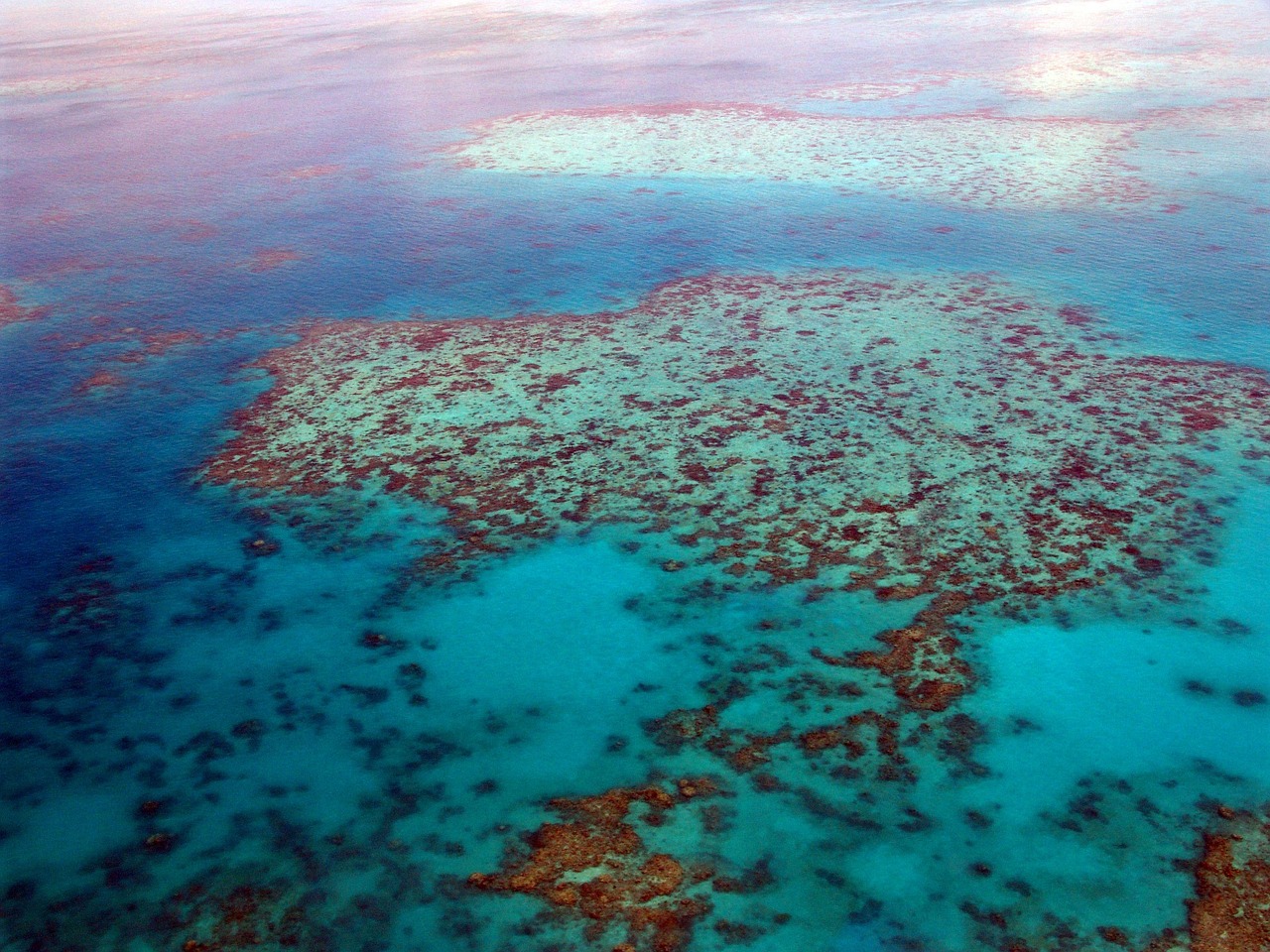 great barrier reef, nature, dive, diving, corals, ocean, pacific, aerial view, australia