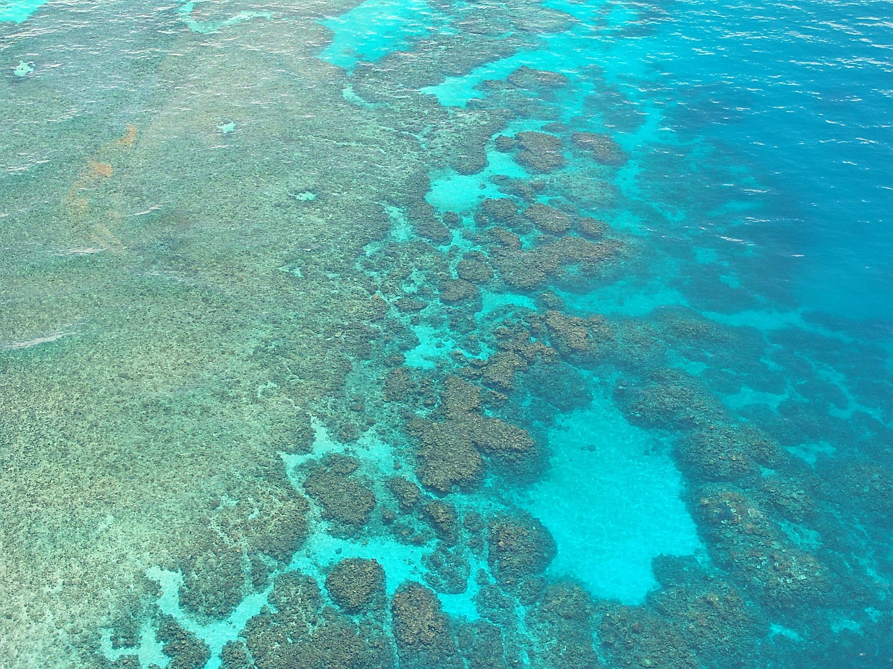 great barrier reef, nature, dive, diving, corals, ocean, pacific, aerial view, australia