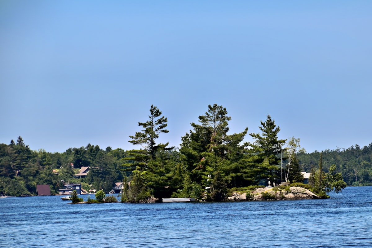 A small island with trees sits on the water.