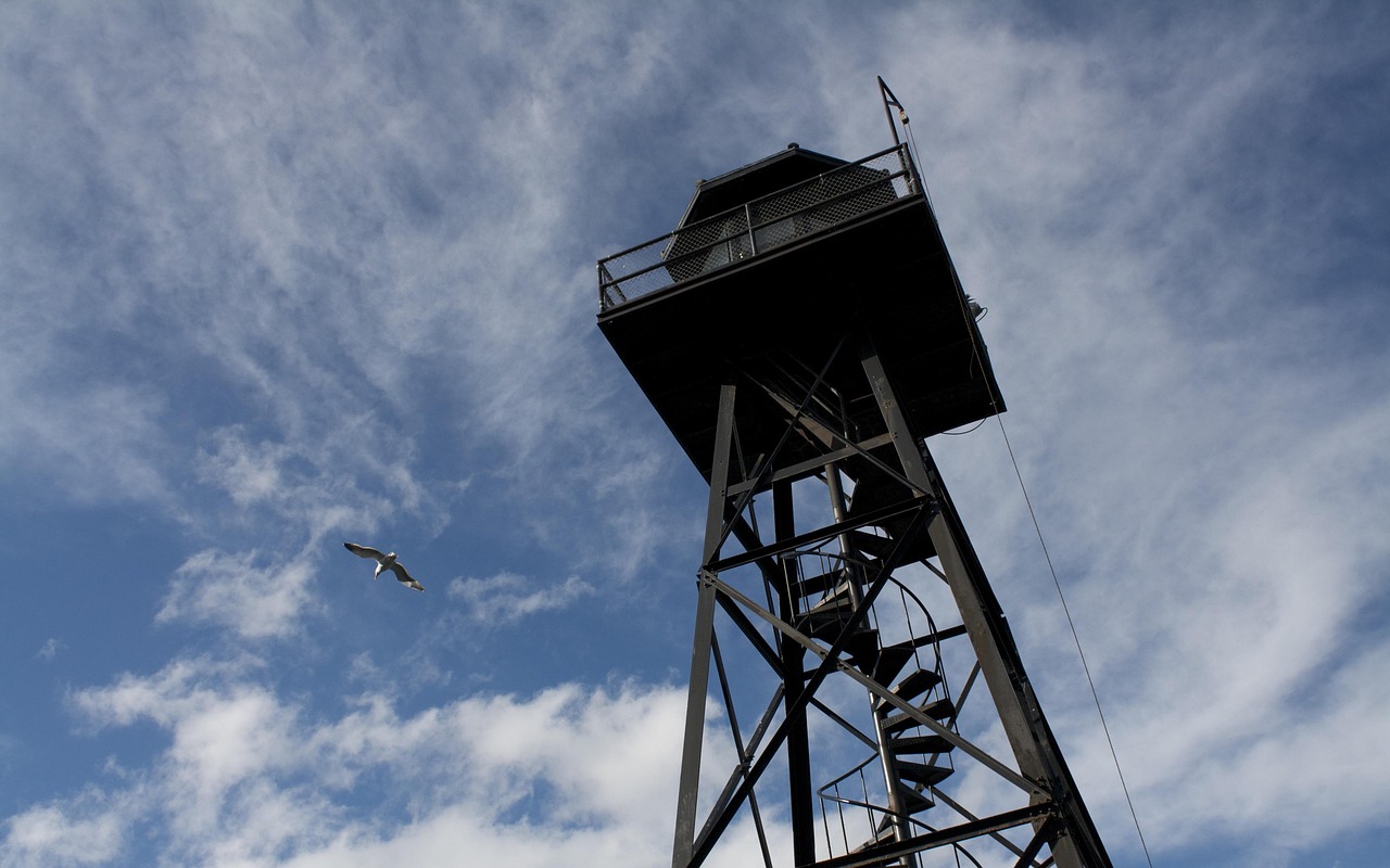 guard, tower, sky, san francisco, nature, california, alcatraz, island, seagull, landmark, prison, blue prison