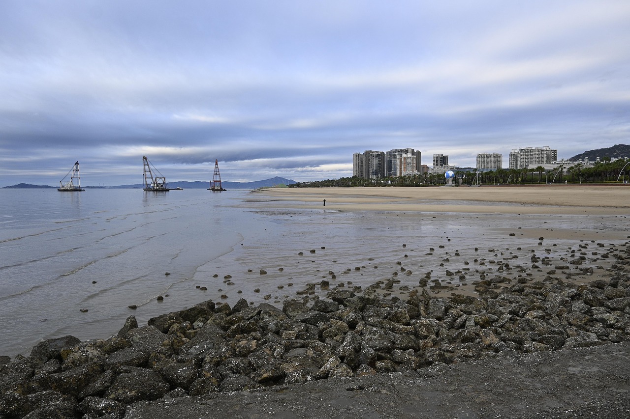 beach, sea, cranes, nature, coast, dawn, xiamen, island, scenery, china, city