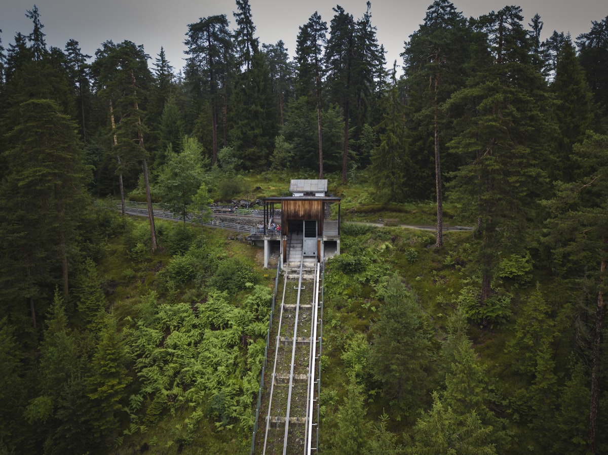 a wooden structure surrounded by trees