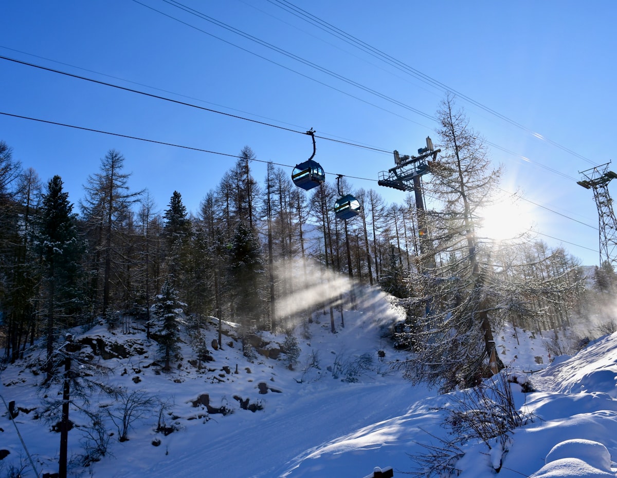 sun rays coming through green trees and cable cars under blue sky