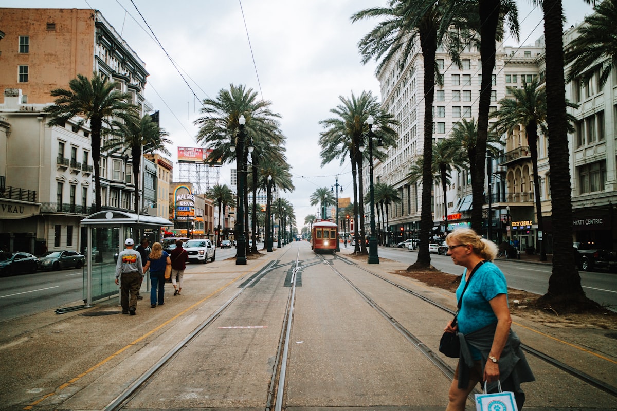 A streetcar rolls down a palm-lined city street.