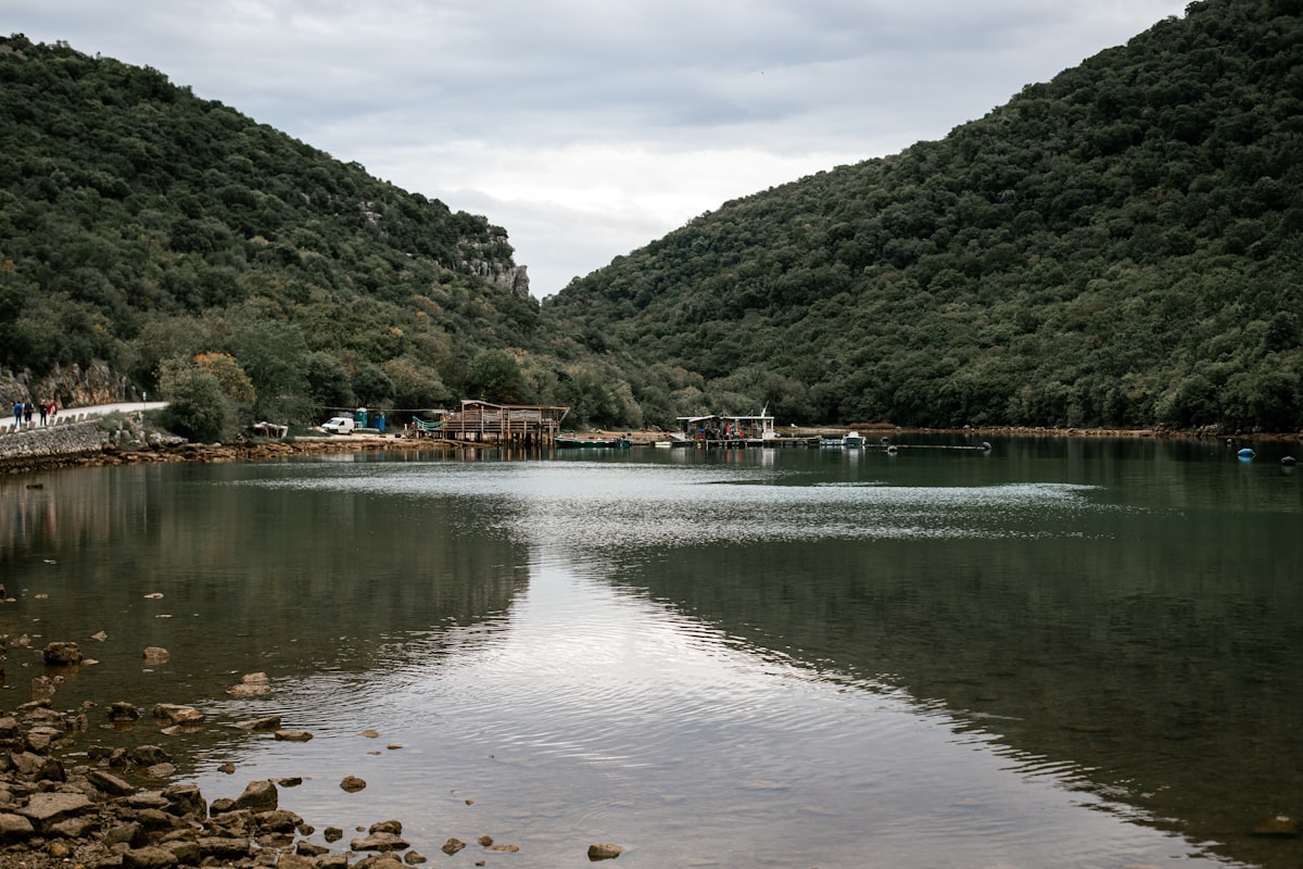 A body of water surrounded by mountains and trees