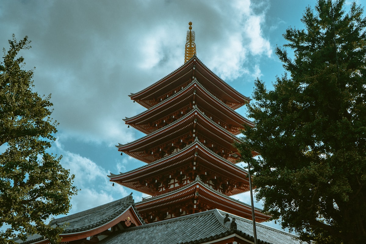 tree beside temple