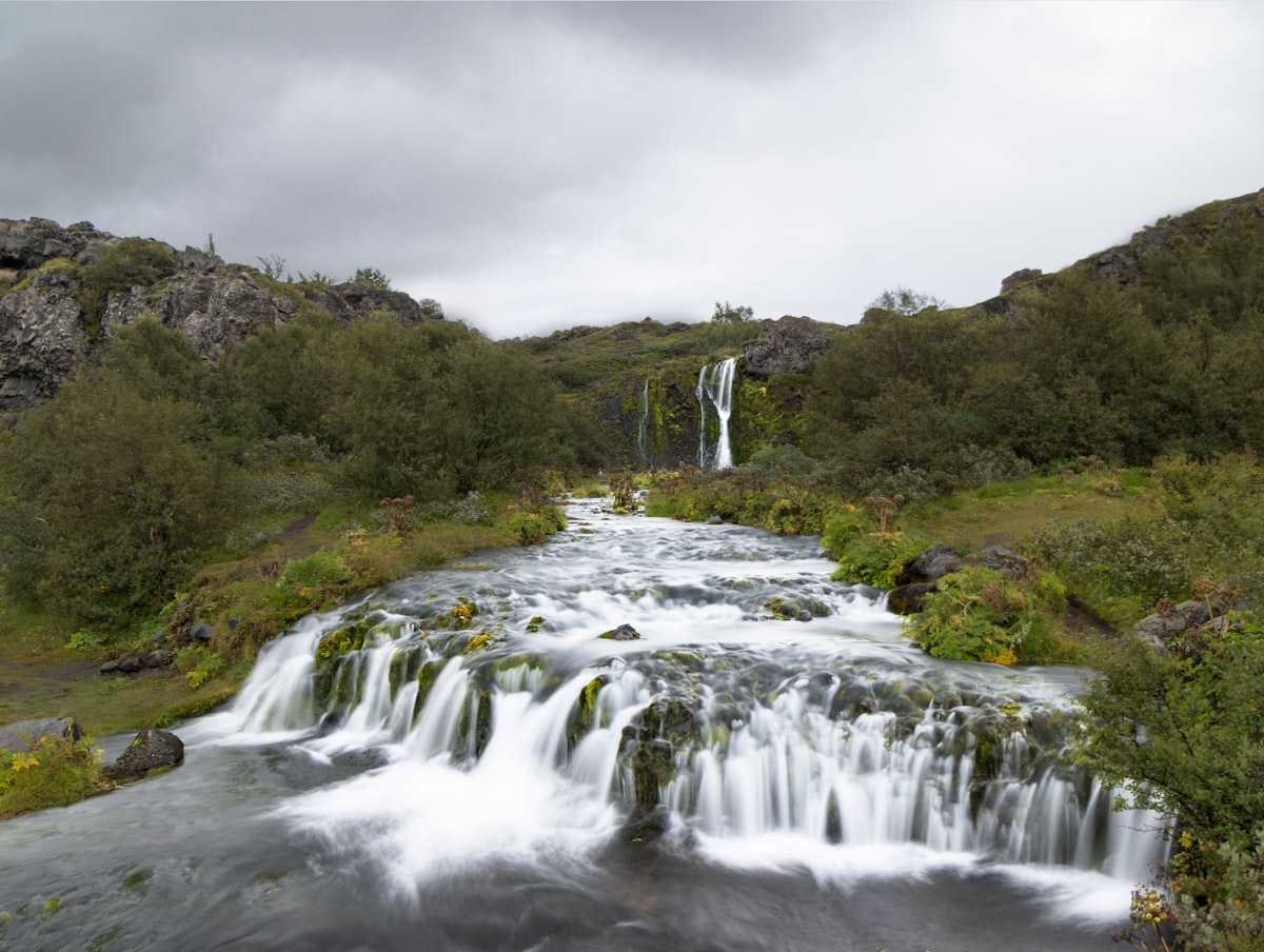 a small waterfall in the middle of a forest