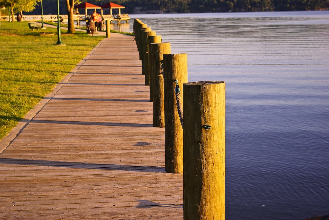 dardanelle state park dock, dock, pilings, pier, water, harbor, piling, marina, piles, boardwalk, still, brown, nature, wooden, waters, outside, dardanelle, state, park, arkansas