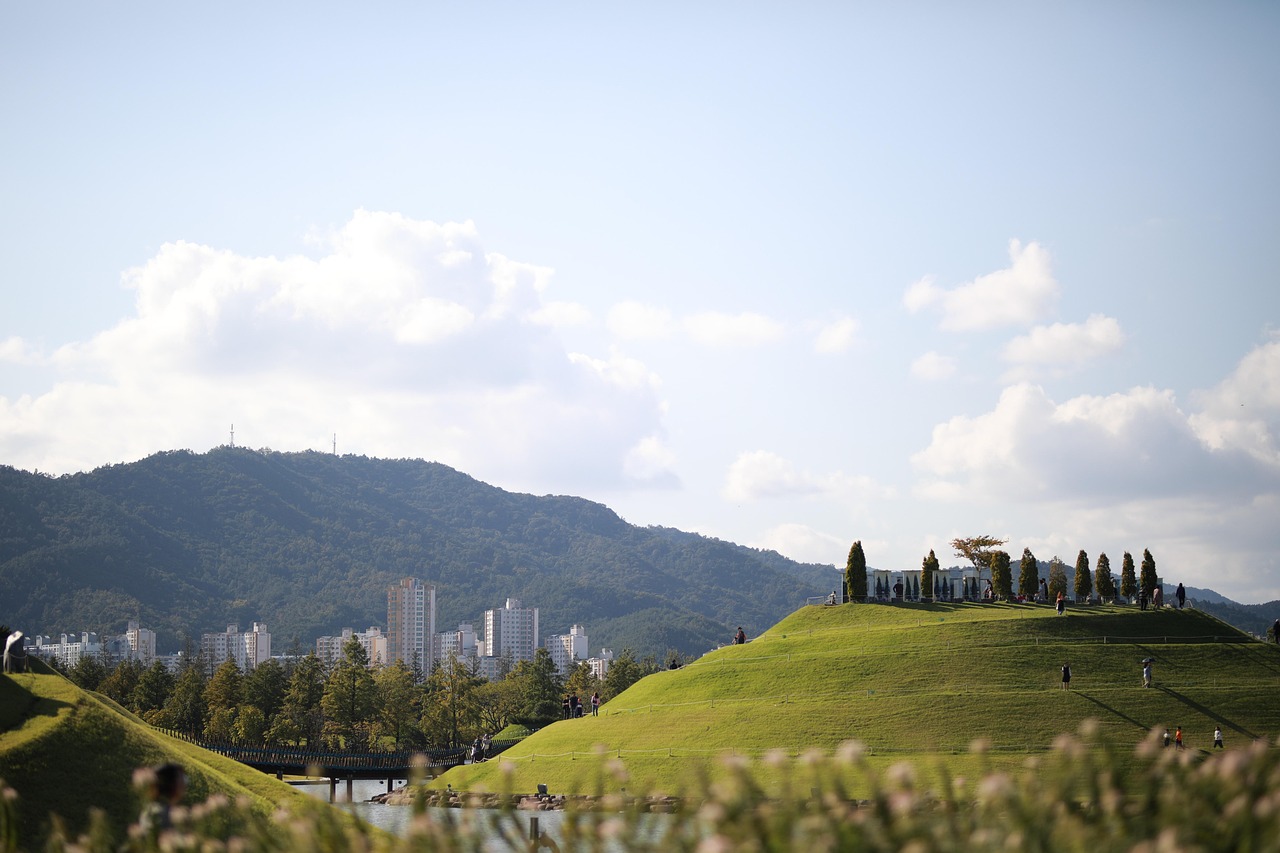 sky, cloud, suncheon bay, nature, tourism