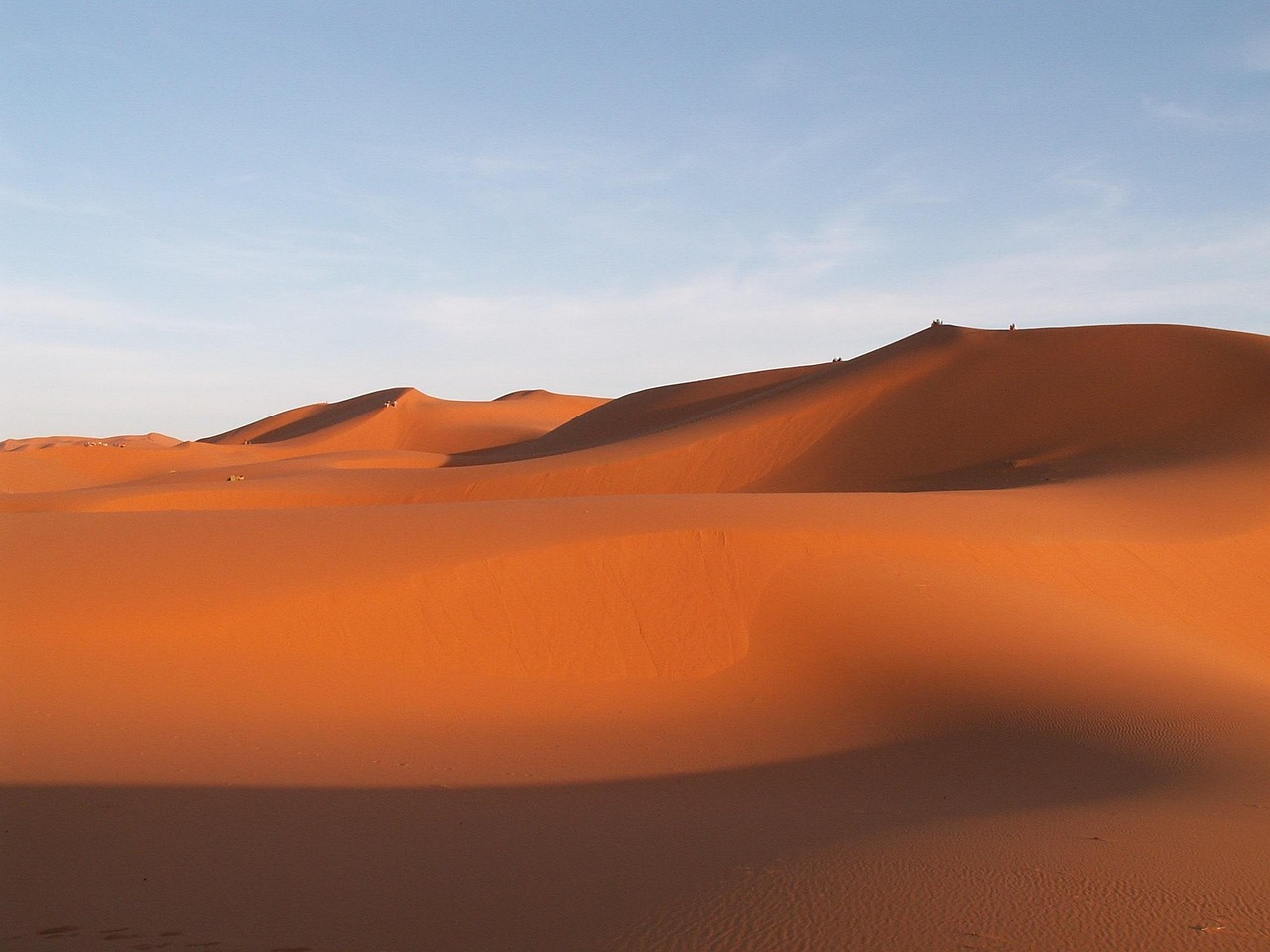 to travel, morocco, erfoud, sand dune, desert, sand, landscape, nature, morocco, desert, desert, desert, desert, desert, sand, landscape